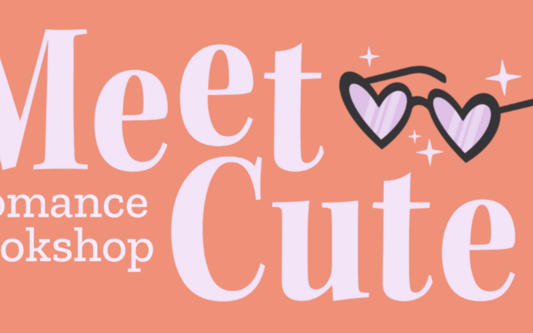 Book Store Interview Series – Interview #2  Meet Cute Bookshop